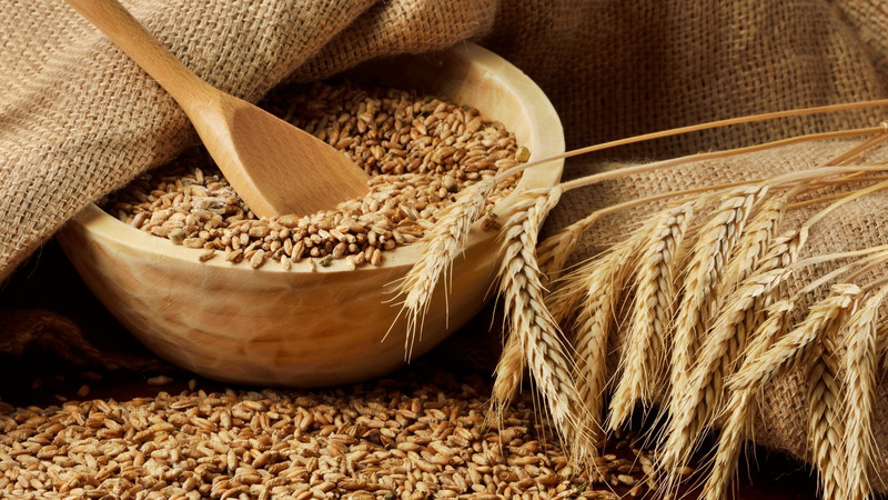 Ang pangunahing pagkakaiba sa pagitan ng mga oats at barley
