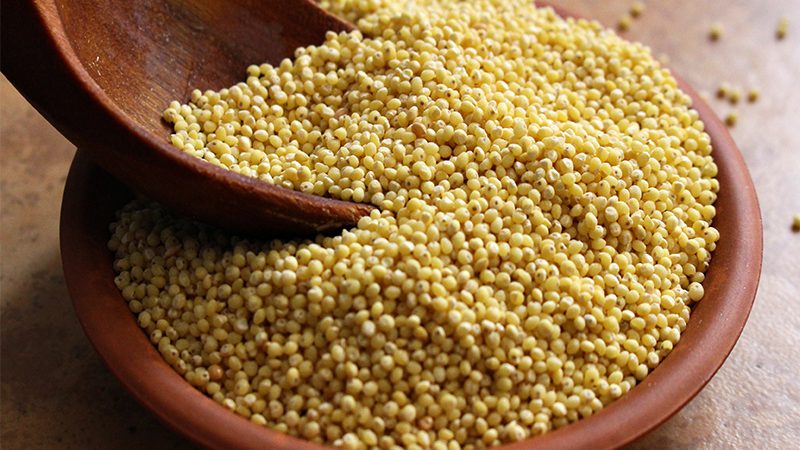 What is the Difference Between Millet and Millet