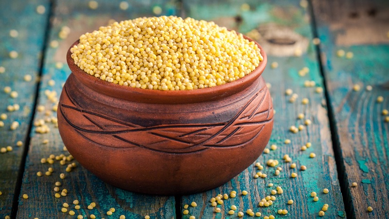 What is the Difference Between Millet and Millet