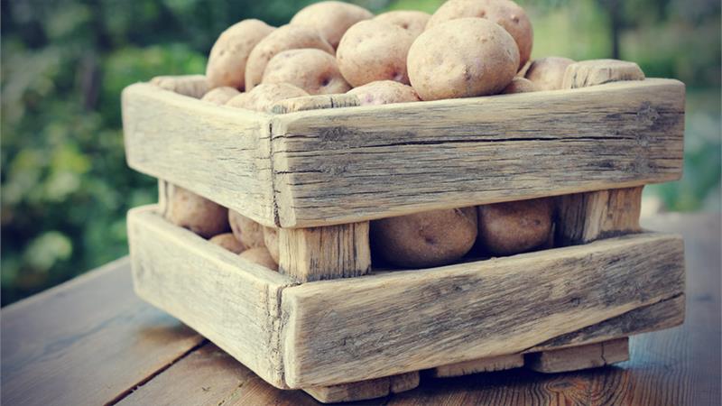 Patatesleri kendi elinizle saklamak için bir kutu nasıl yapılır