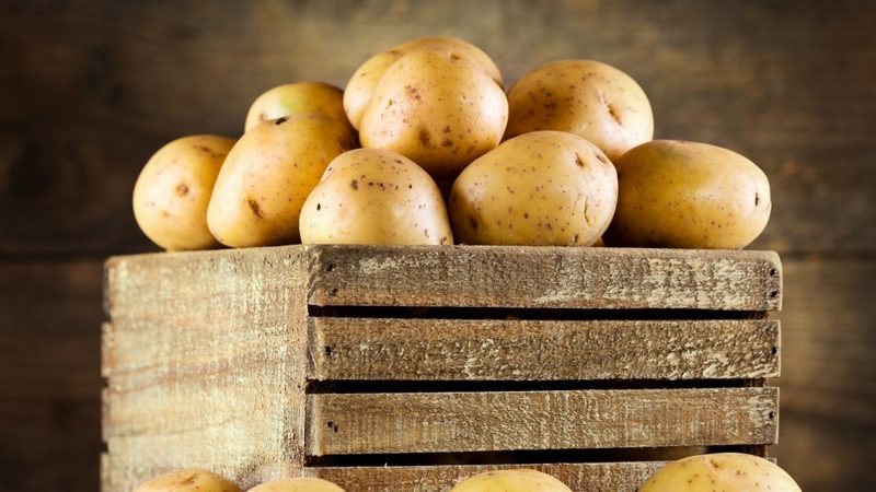 Patatesleri kendi elinizle saklamak için bir kutu nasıl yapılır