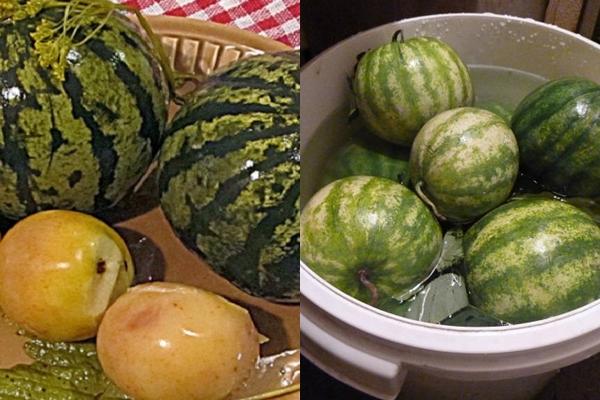 As mais deliciosas receitas de melancias inteiras em um barril para o inverno