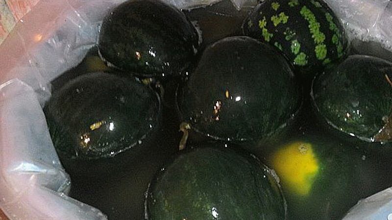 Die köstlichsten Rezepte zum Einlegen von Wassermelonen in einem Fass für den Winter