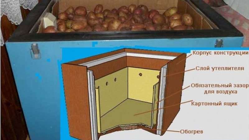 Patatesler buzdolabında nasıl saklanır ve saklanabilir mi