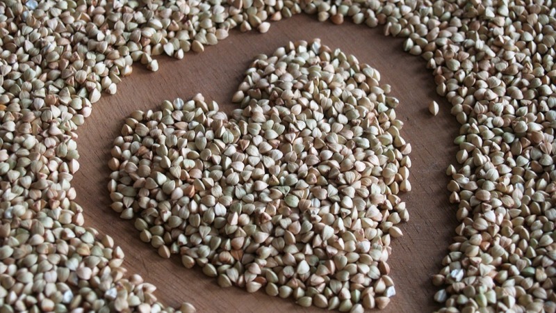 Por que o trigo sarraceno é tão apreciado na Rússia e por que os estrangeiros não o comem