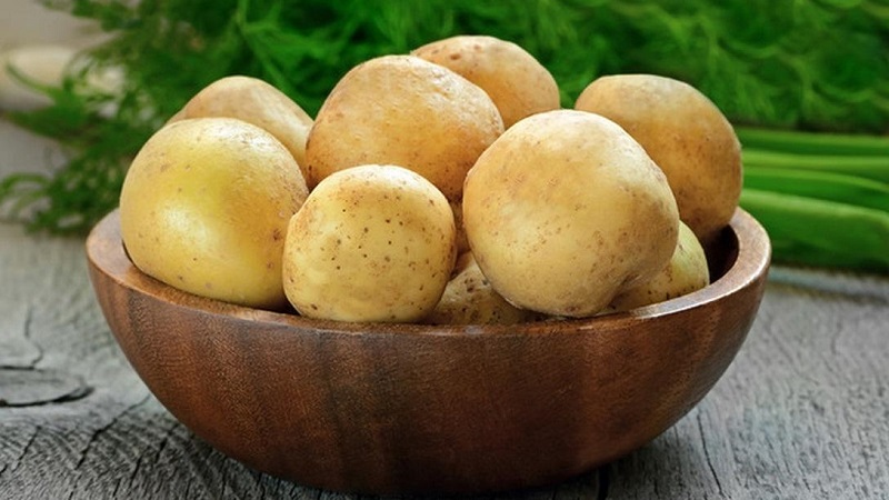 Mayroon bang pagtatae o tibi mula sa patatas at posible na kainin ito sa mga naturang kaso