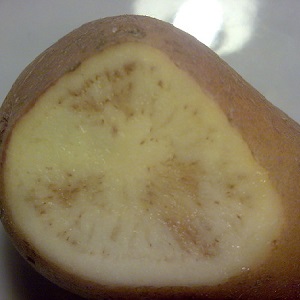 O que fazer se houver listras marrons dentro da batata