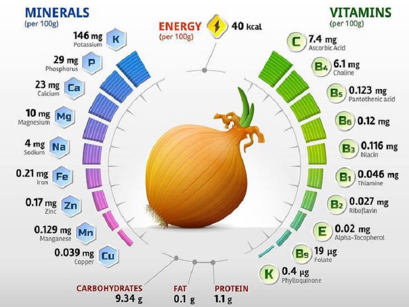 Soğanda neler bulunur: hangi vitamin ve mineraller