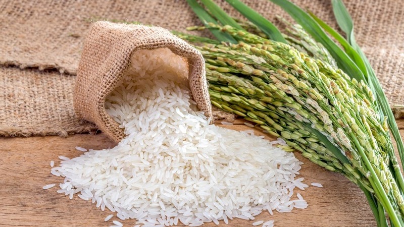 Onde e como o arroz cresce e é possível cultivá-lo em casa