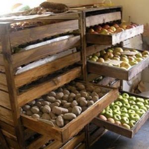 كيف يتم تخزين البطاطس في نفس القبو مع التفاح وهل من الممكن القيام بذلك