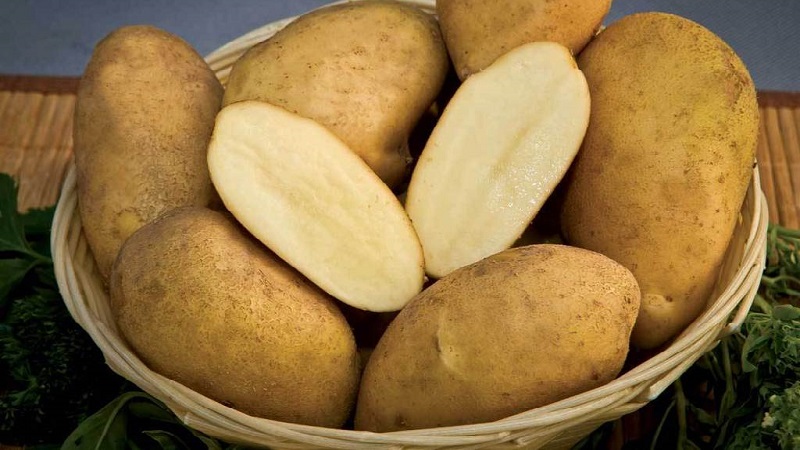 Tamang iba't ibang patatas para sa mashed patatas
