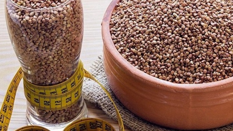 Cómo comer trigo sarraceno para bajar de peso: cuántos gramos puedes por día