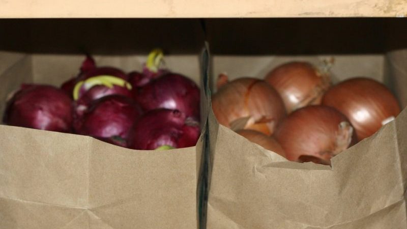 Cómo almacenar las cebollas correctamente: a qué temperatura y en qué condiciones.
