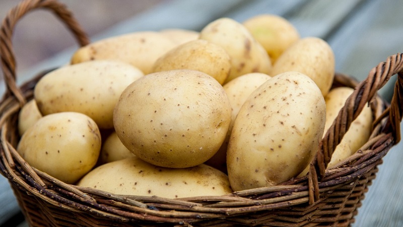 כיצד מתבטאת אלרגיה לתפוחי אדמה בקרב ילדים ומבוגרים