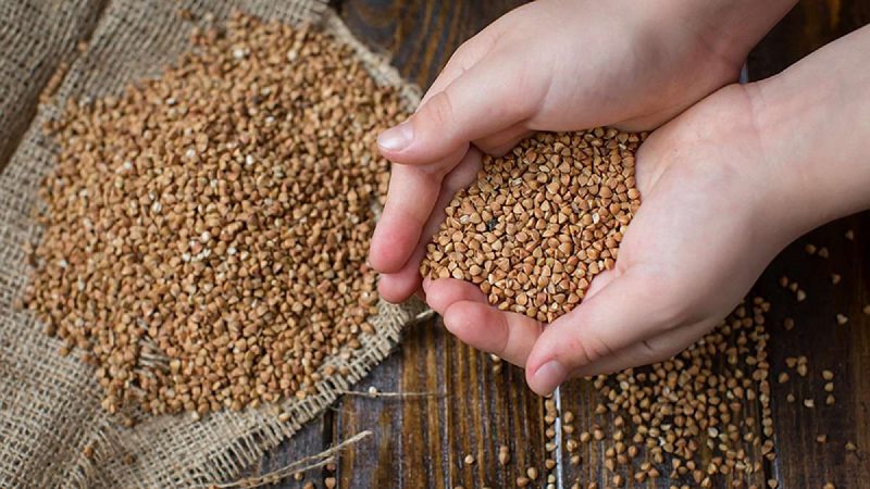 Choisir correctement les céréales: quel sarrasin est le meilleur foncé ou clair, à quels critères faire attention