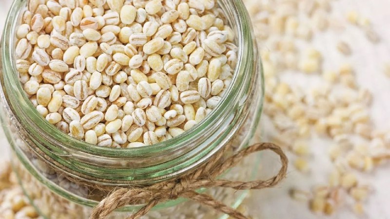 Qué cereales están hechos de cebada y las propiedades beneficiosas de los cereales.