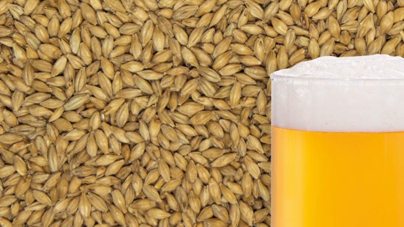 Anong mga butil ang ginawa mula sa barley at ang mga kapaki-pakinabang na katangian ng mga cereal