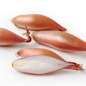 Mataas na nagbubunga ng Sakit at Pest Resistant Onion Variety Bamberger