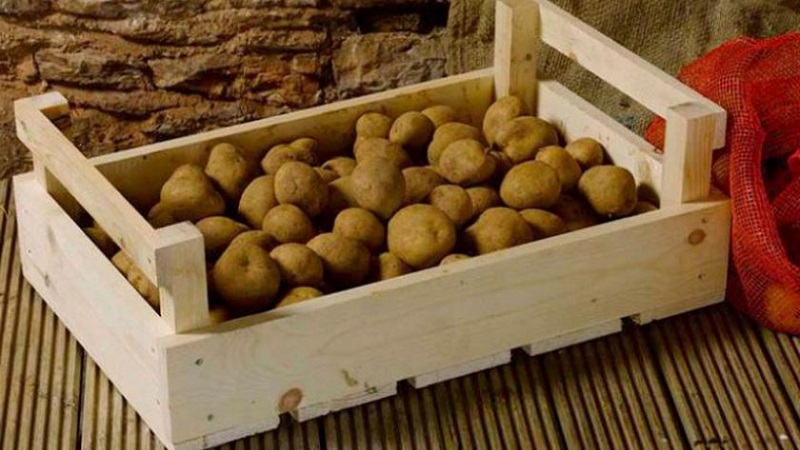 Mga pamamaraan sa imbakan sa bahay para sa patatas