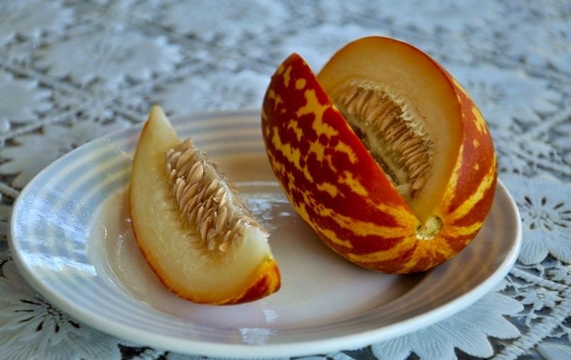 Kavunun tanımı ve ananasla çaprazlanmış özellikleri: mini meyvenin tadı nasıldır