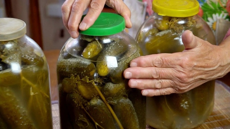 Why mold could appear on pickles and what to do about it