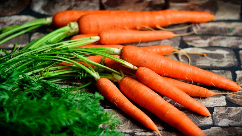 Τι να κάνετε εάν τα καρότα δεν είναι γλυκά ή ζουμερά και γιατί συμβαίνει αυτό