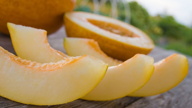 Les avantages et les inconvénients du melon pour le corps