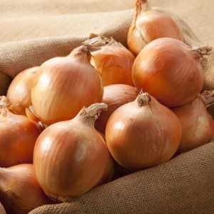 Step-by-step instructions on how to keep onions for the winter at home