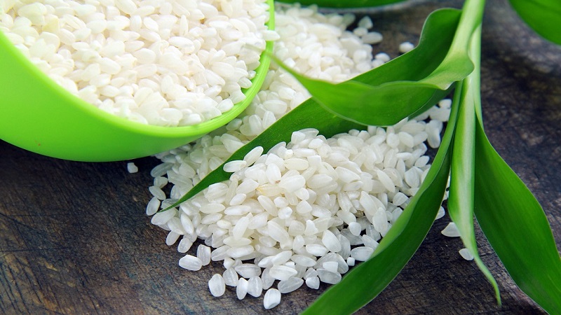 ¿Cuánto almidón hay en el arroz y está incluso en él?