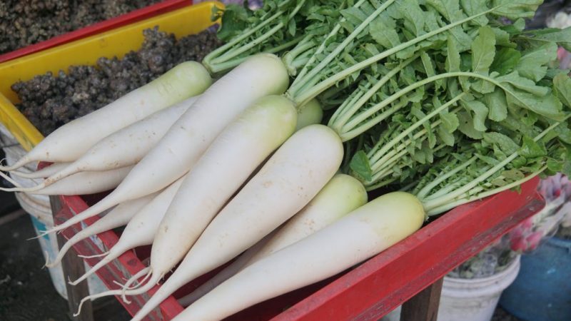 Soorten witte wortelen en hun gunstige eigenschappen voor het menselijk lichaam