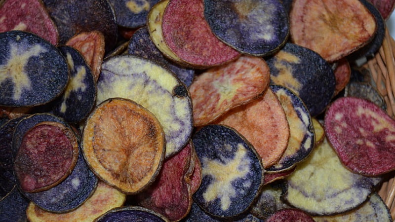 Cartofi colorați uimitori: soiuri de soiuri și proprietățile lor benefice