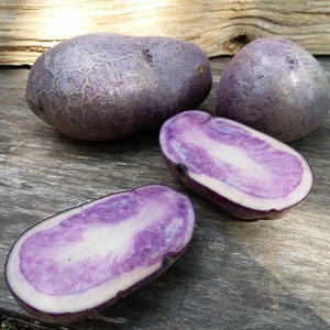 Amazing colored potatoes: varieties of varieties and their beneficial properties