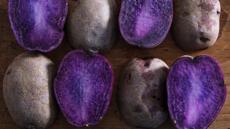 Batatas com cores incríveis: variedades de variedades e suas propriedades benéficas