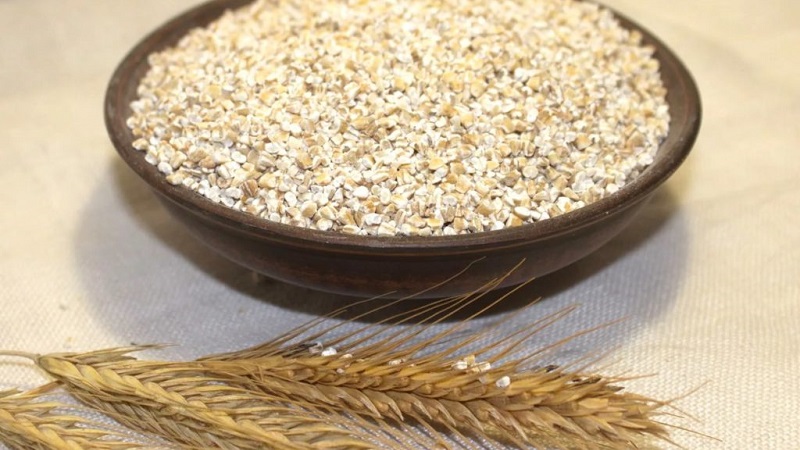 Каква е разликата между ечемик, пшеница и други зърнени храни