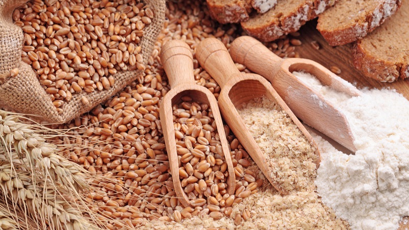 ما هو الفرق بين الشعير والقمح والحبوب الأخرى