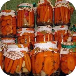 Recetas doradas para espacios en blanco de zanahoria para el invierno.