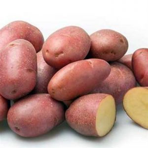 Kırmızı patatesin mükemmel tadı: özellikleri nelerdir ve hangi türleri vardır?