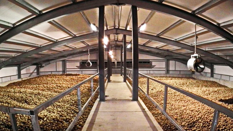 Нюансите на съхранение на картофи в зеленчуков магазин: как да се създадат оптимални условия за реколтата