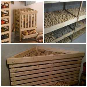 How to store potatoes correctly and what temperature they withstand