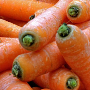 Salvamos a colheita corretamente: como cortar cenouras para armazenamento no inverno e por que você precisa disso