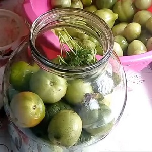 How to cook green tomatoes for the winter: simple but unusual and delicious recipes from around the world