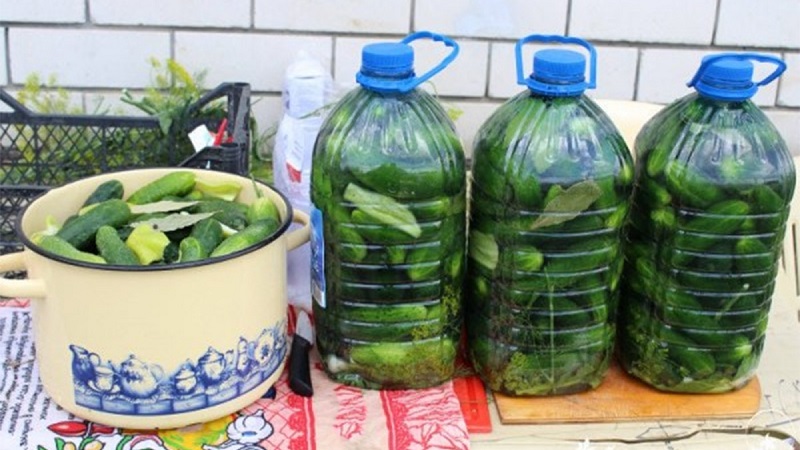 How to pickle cucumbers in a 5 liter plastic bottle: preparation, preparation and storage