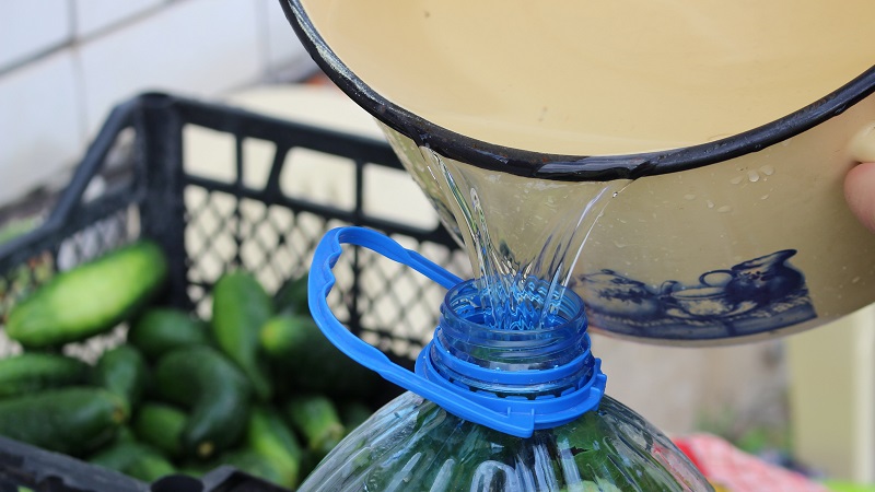 Cum să alegeți castraveții într-o sticlă de plastic de 5 litri: preparare, preparare și depozitare