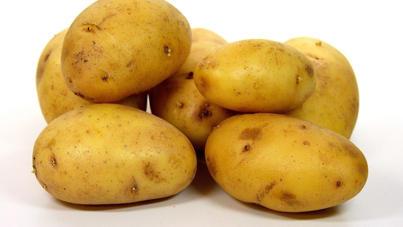 Les meilleures variétés de pommes de terre sibériennes et conseils pour les cultiver