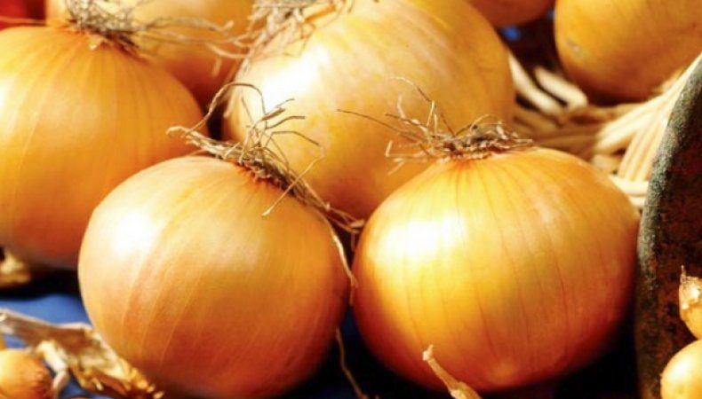 Mataas na Nagbubunga ng Onion Hybrid na may kamangha-manghang Taste - Centurion