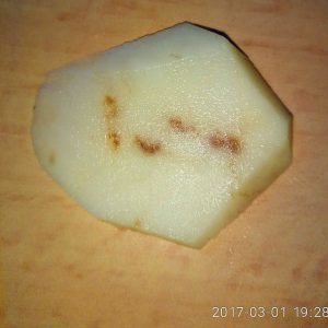 Kodėl bulvės dažomos: kovos su liaukų dėmėmis ir kitomis ligomis priemonės
