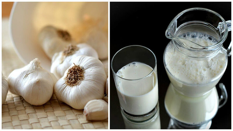 Soğanlı süt öksürüğe yardımcı olur mu ve nasıl doğru kullanılır?