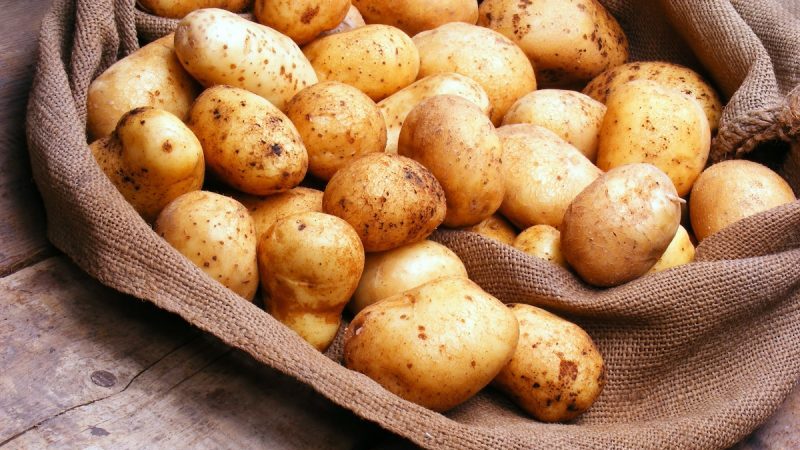 Pravidla skladování brambor: lze ji před pokládkou umýt