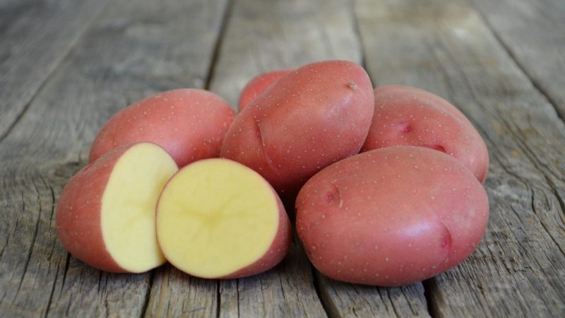 Kırmızı patatesin mükemmel tadı: özellikleri nelerdir ve hangi türleri vardır?