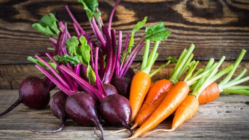 Recetas sencillas y deliciosas de zanahorias en escabeche